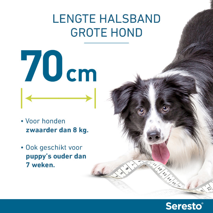 Seresto halsband grote hond (vanaf 8 kg)