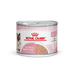 Royal Canin Mother & Babycat Mousse kattenvoer 1 tray (12 x 195 g) afbeelding