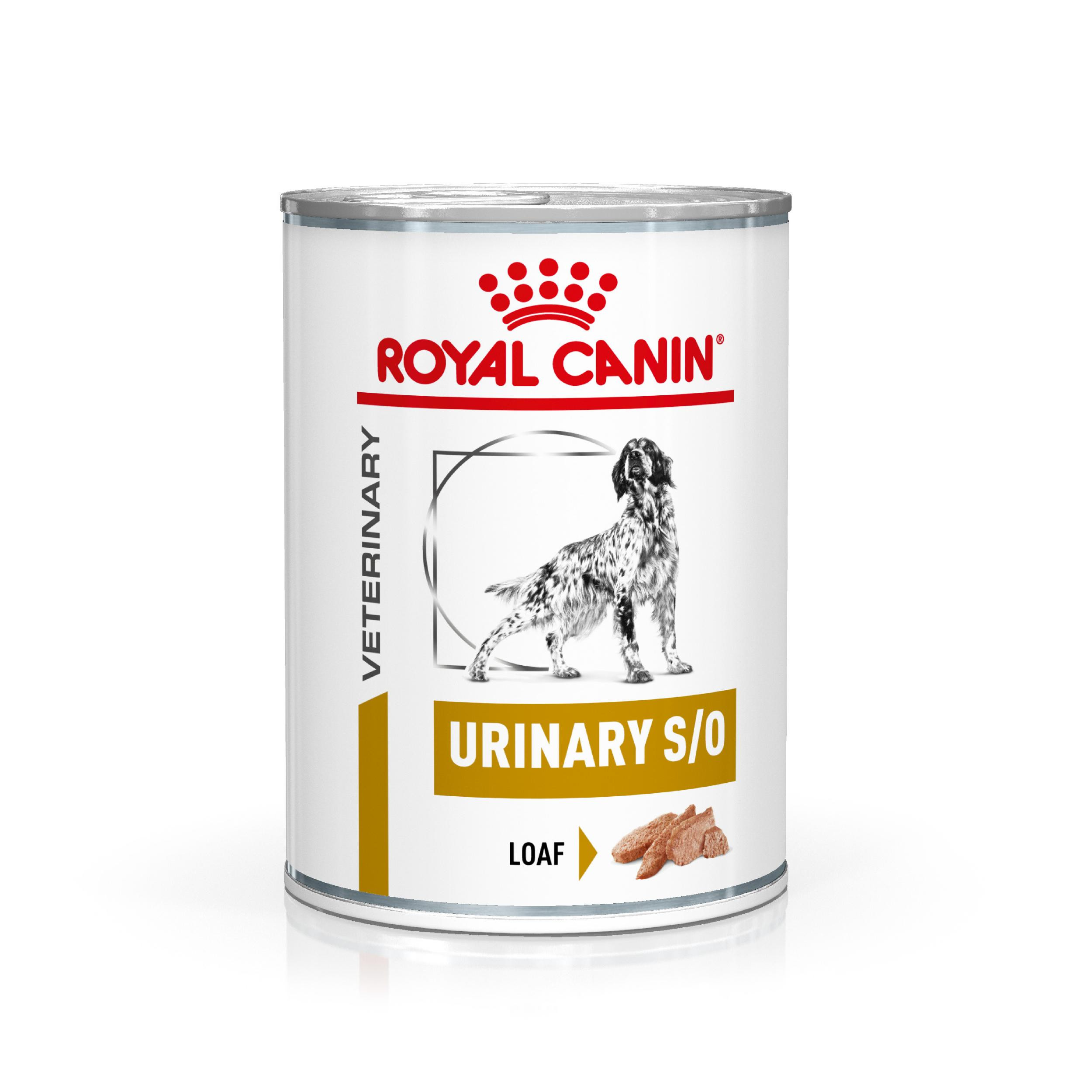Royal Canin Veterinary Urinary S/O natvoer hond (paté)
