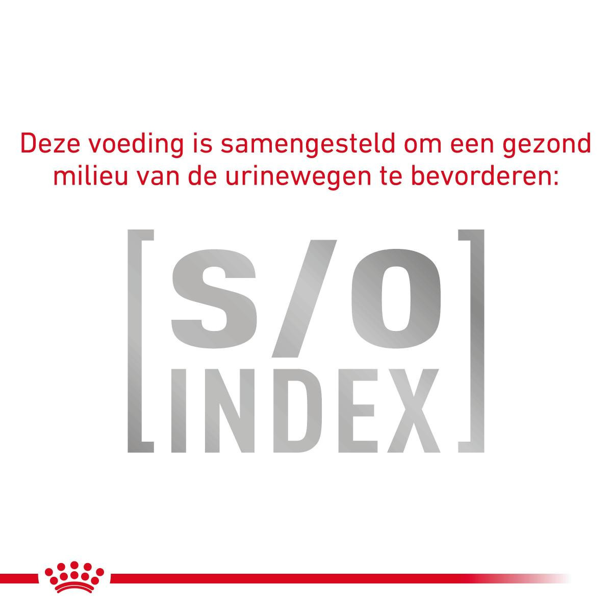 Royal Canin Veterinary Urinary S/O natvoer hond (paté)