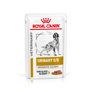 Royal Canin Veterinary Urinary S/O Moderate Calorie natvoer hond 4 dozen (48 x 100 g) afbeelding