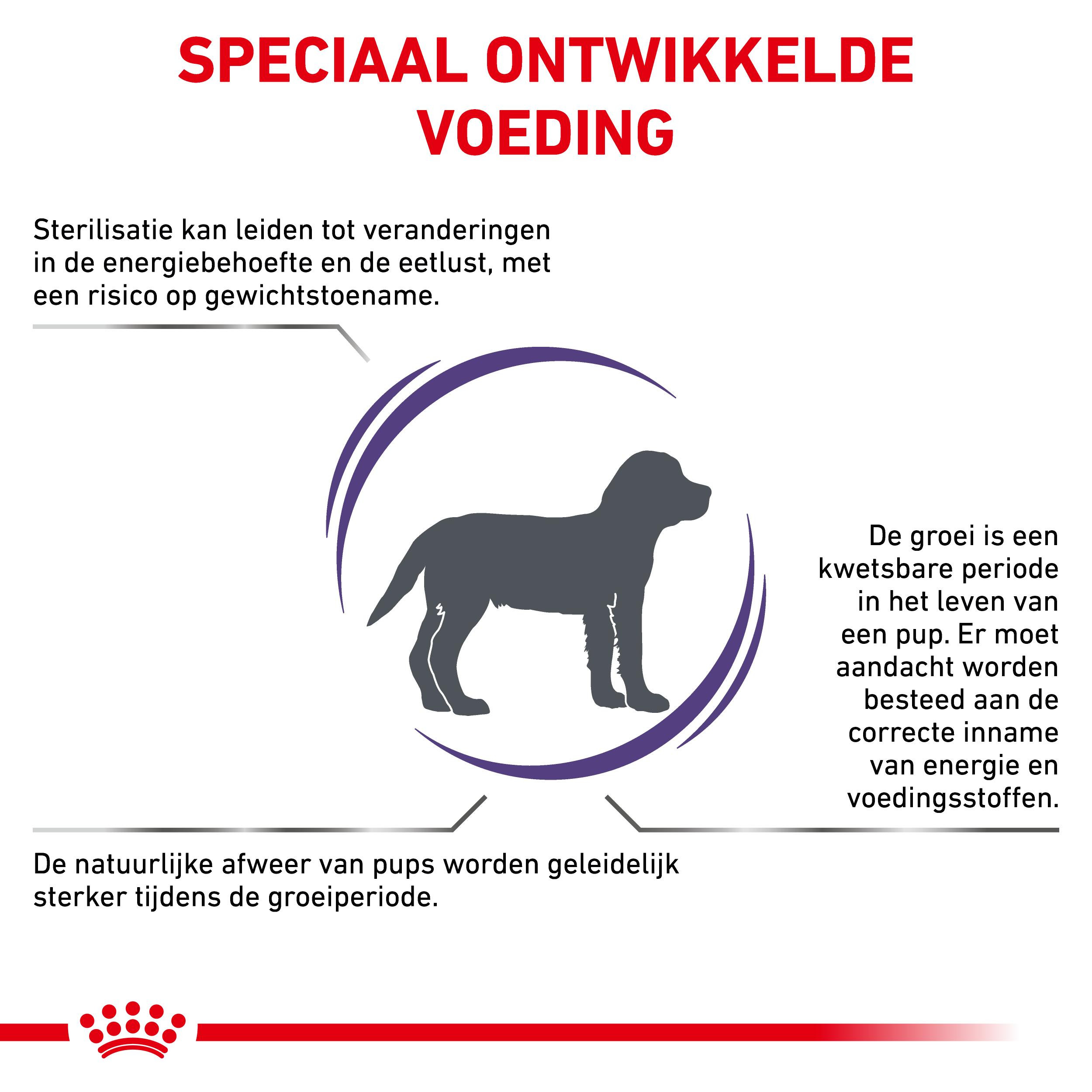 Royal Canin Veterinary Neutered Junior hondenvoer