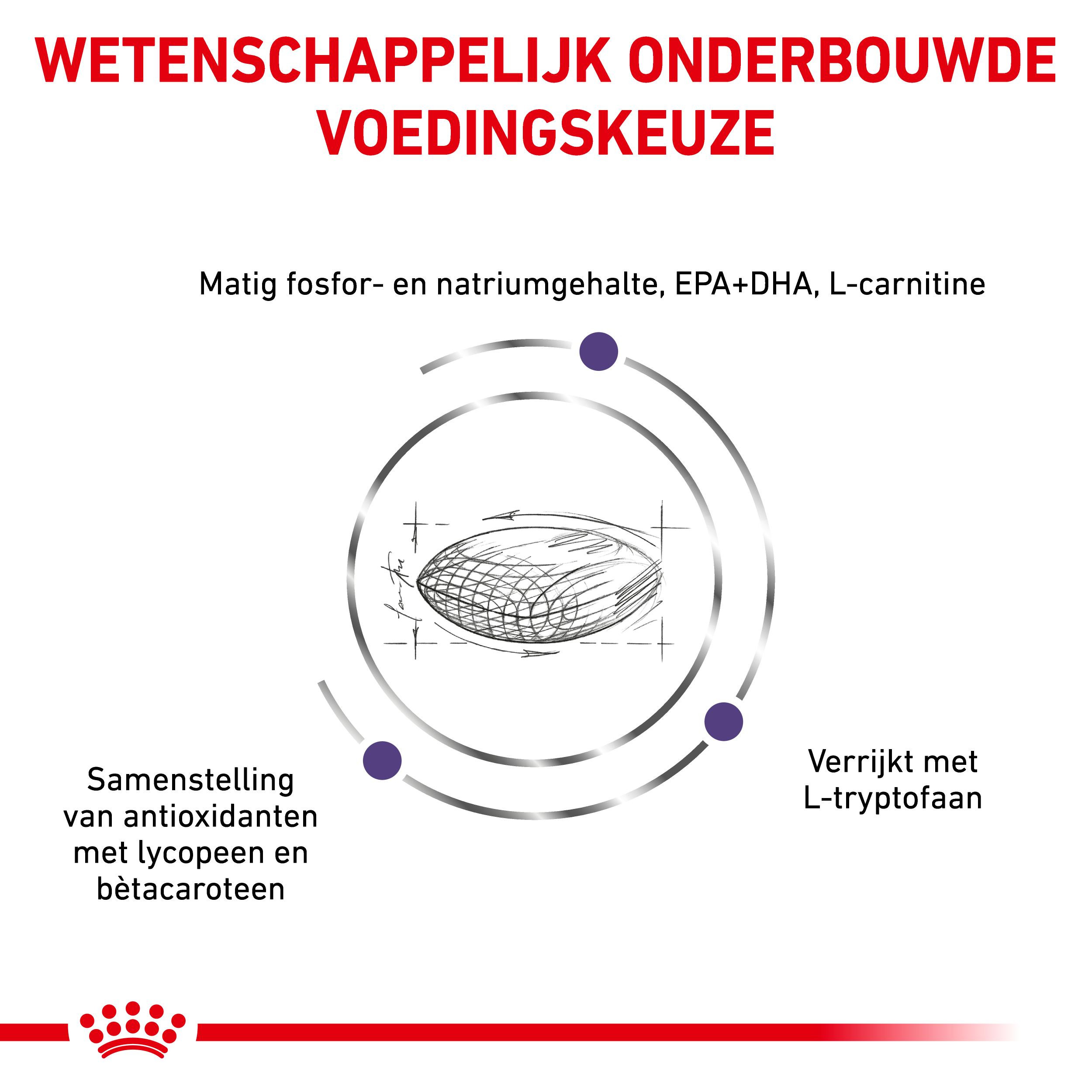 Royal Canin Veterinary Mature Mature Consult Small Dogs hondenvoer