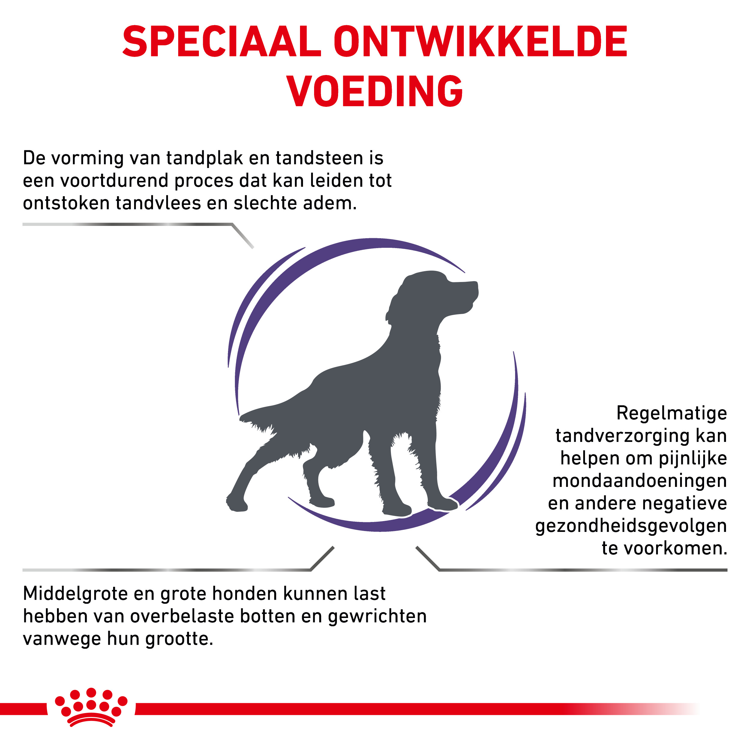 Royal Canin Veterinary Dental Medium & Large dogs hondenvoer