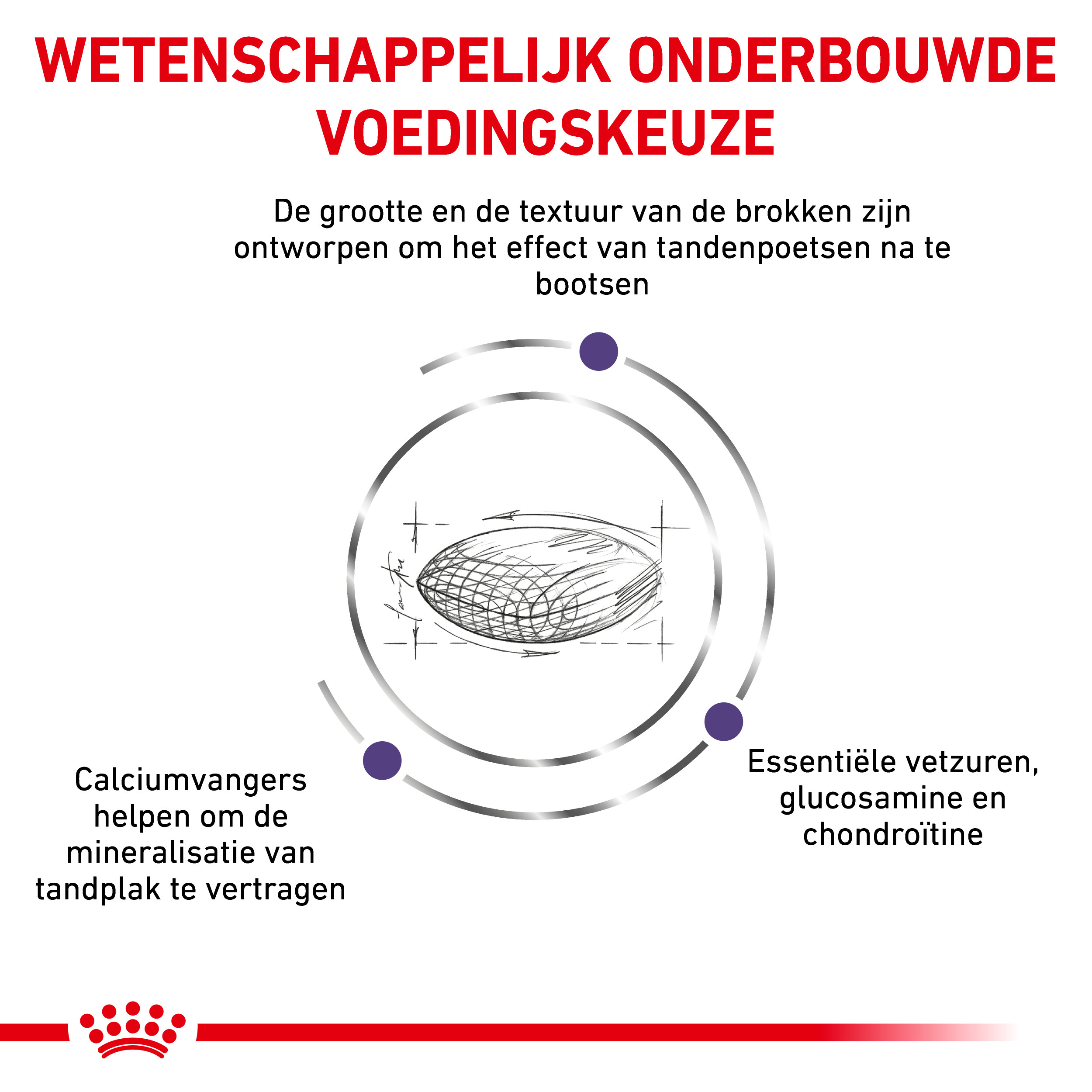 Royal Canin Veterinary Dental Medium & Large dogs hondenvoer