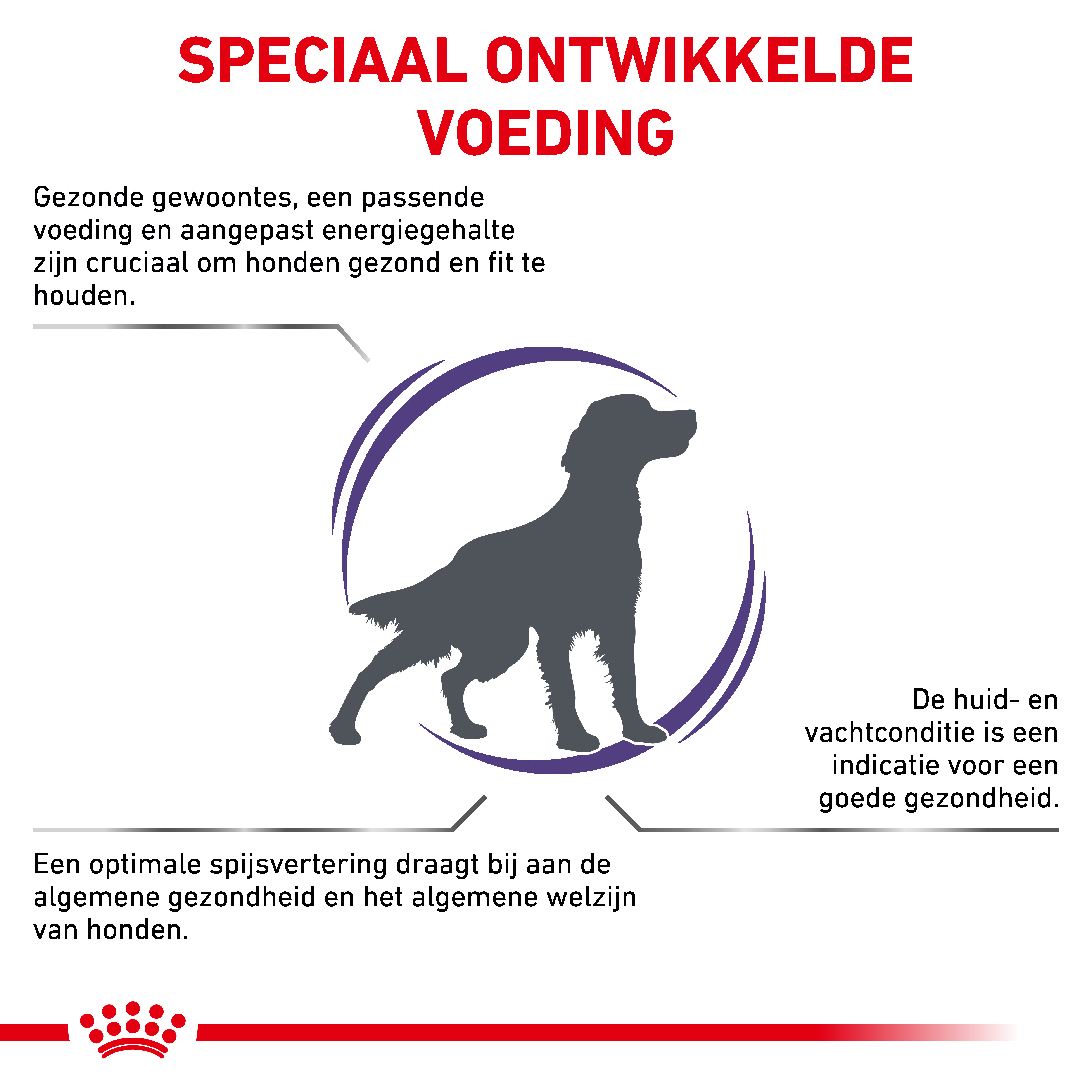 Royal Canin Veterinary Adult Medium hondenvoer