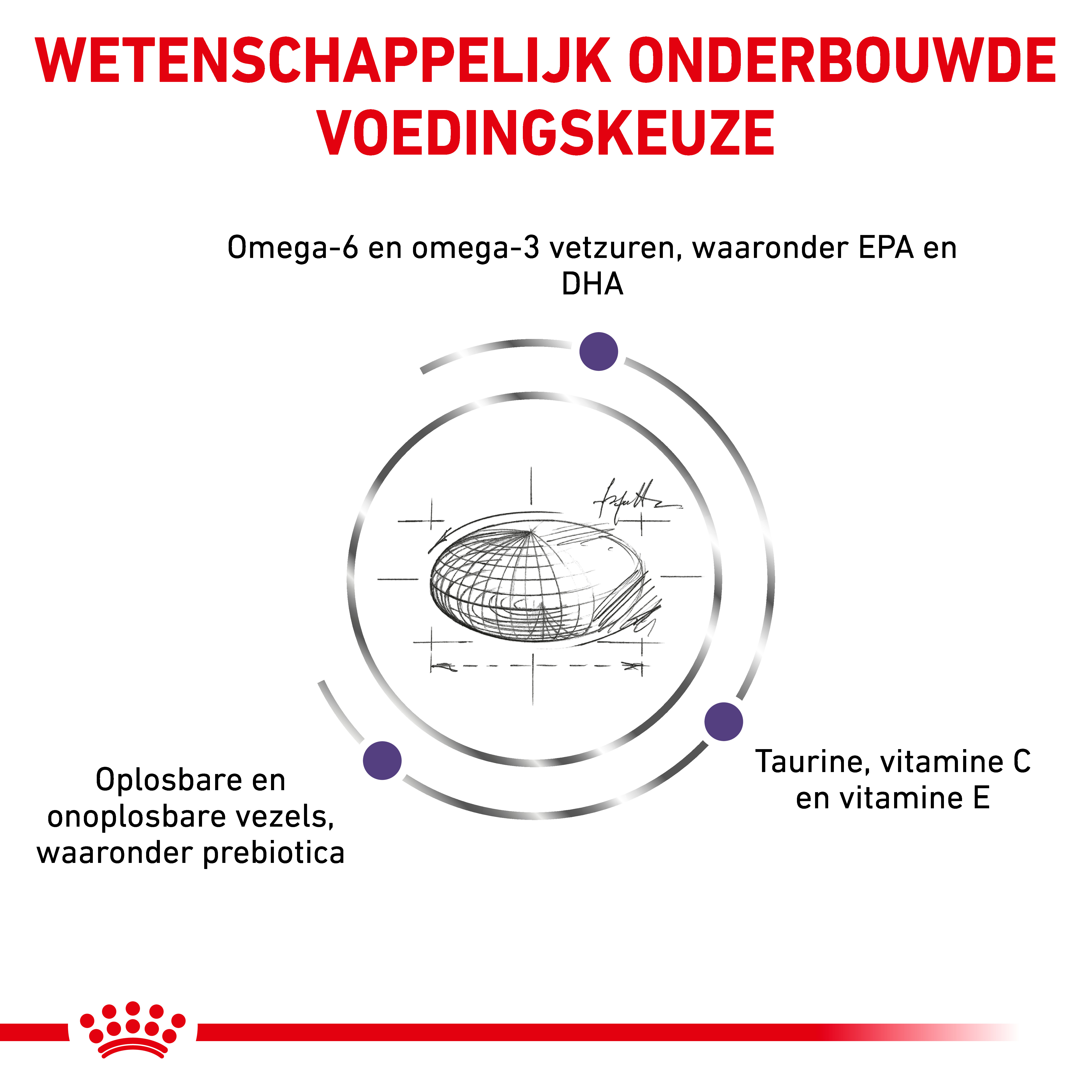 Royal Canin Veterinary Adult Medium hondenvoer