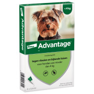 Advantage Nr. 40 vlooienmiddel (tot 4kg) hond 1 verpakking