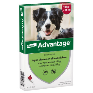 Advantage Nr. 250 vlooienmiddel (10 tot 25kg) hond 2 verpakkingen afbeelding