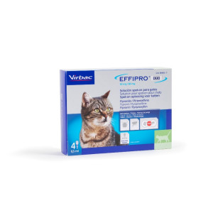Virbac Effipro Duo Spot-on voor katten tot 6 kg 4 pipetten