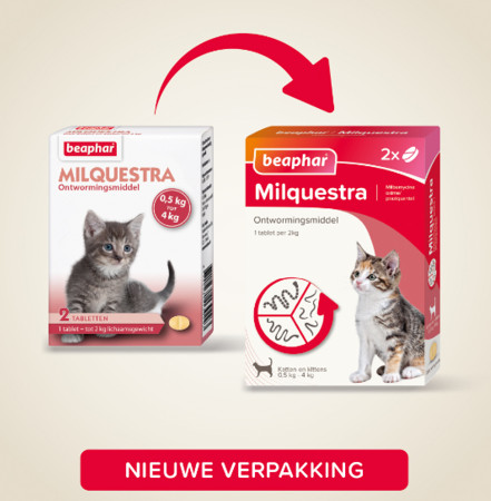 Beaphar Milquestra Ontwormingsmiddel kleine kat en kitten