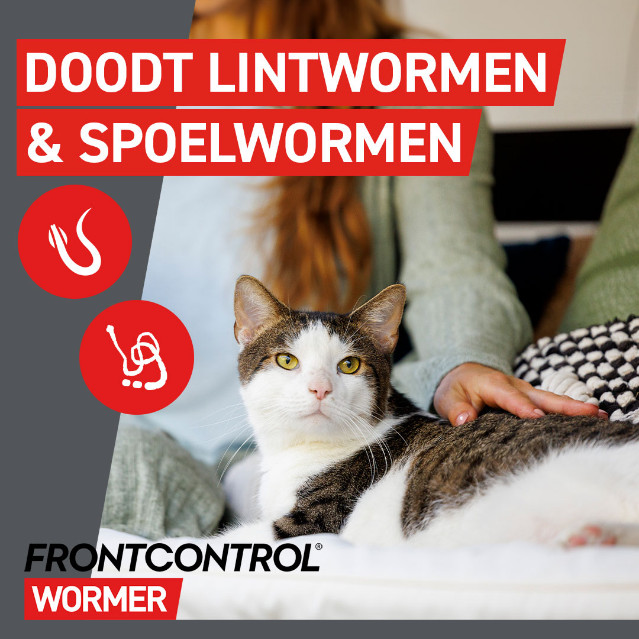 Frontcontrol Wormer ontwormingstablet kat