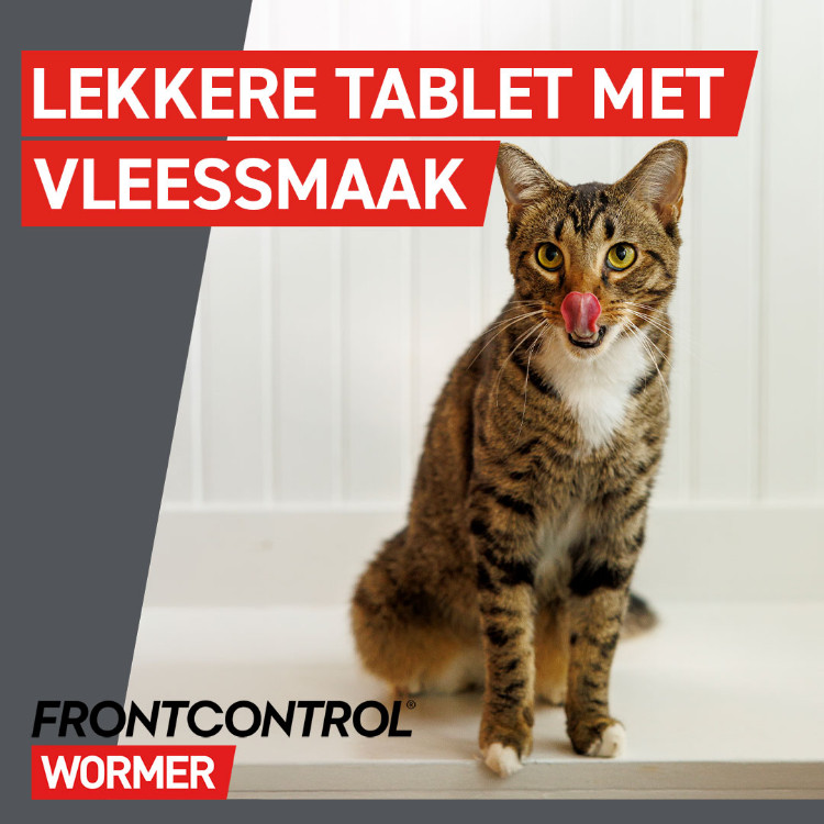 Frontcontrol Wormer ontwormingstablet kat
