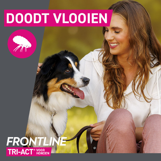 Frontline Tri-Act Spot-on anti-parasiet hond L / 20 - 40 kg