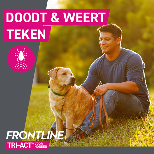 Frontline Tri-Act Spot-on anti-parasiet hond L / 20 - 40 kg