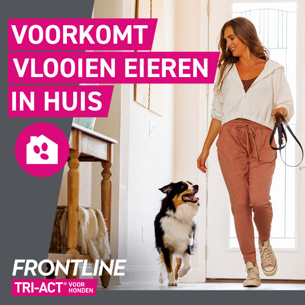 Frontline Tri-Act Spot-on anti-parasiet hond L / 20 - 40 kg