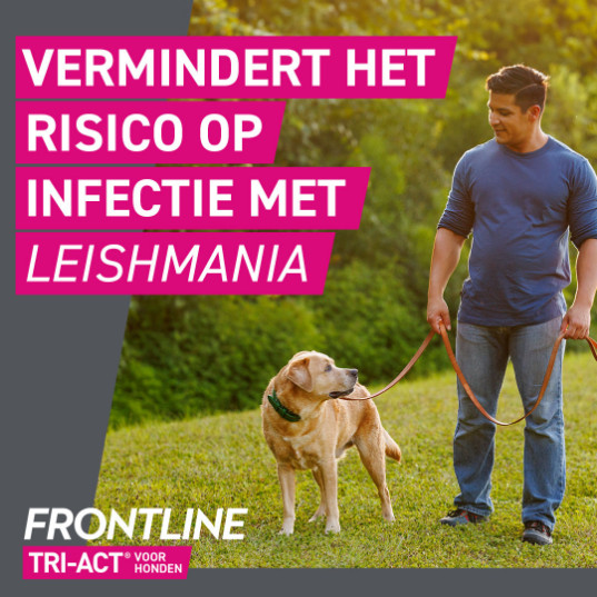 Frontline Tri-Act Spot-on anti-parasiet hond L / 20 - 40 kg