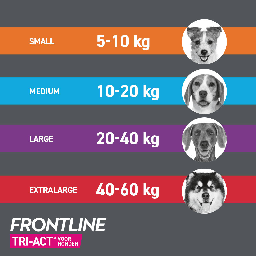 Frontline Tri-Act Spot-on anti-parasiet hond L / 20 - 40 kg