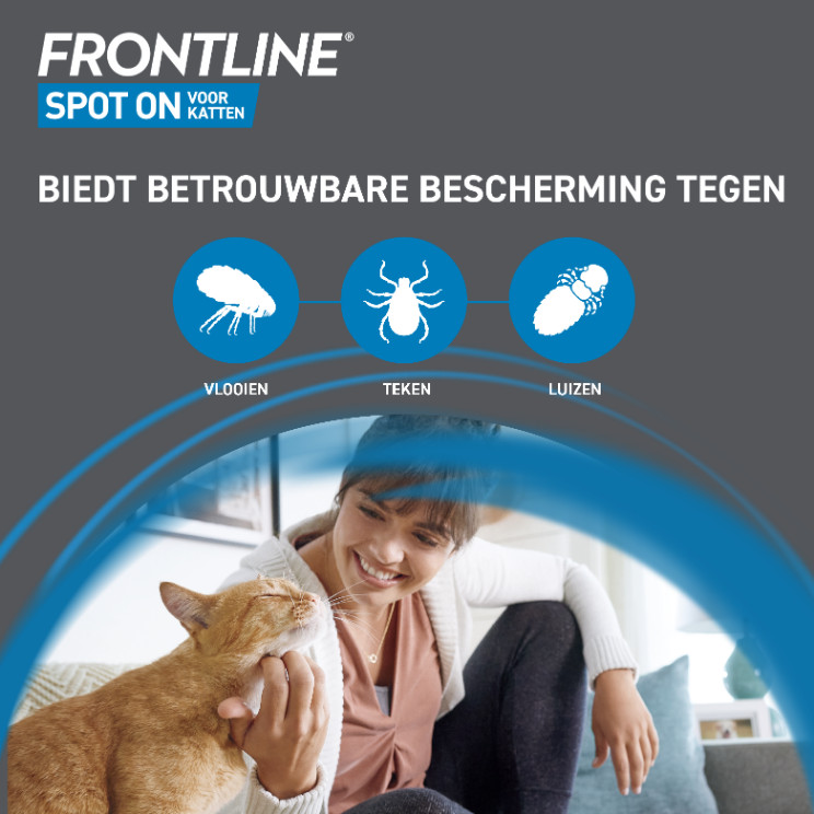 Frontline Spot-on kat