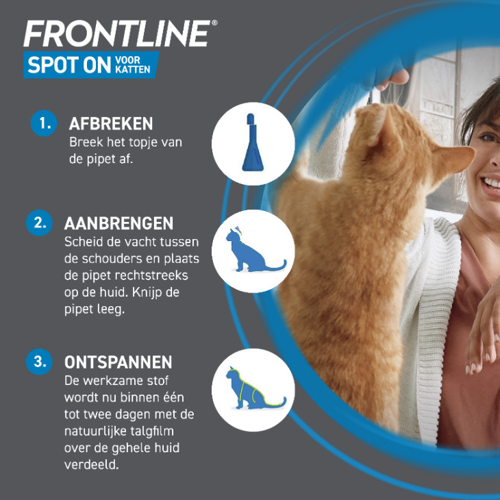Frontline Spot-on kat