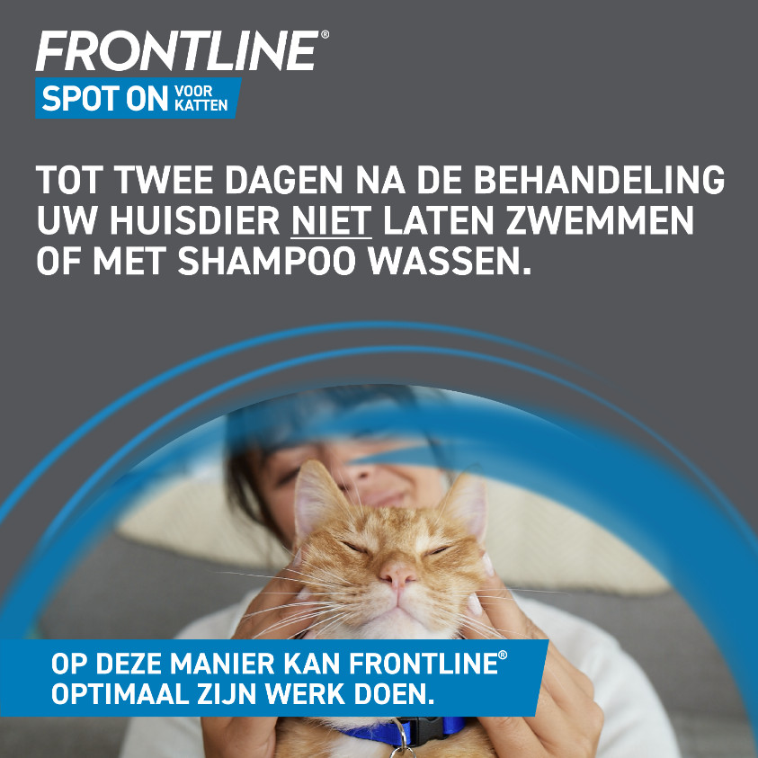 Frontline Spot-on kat