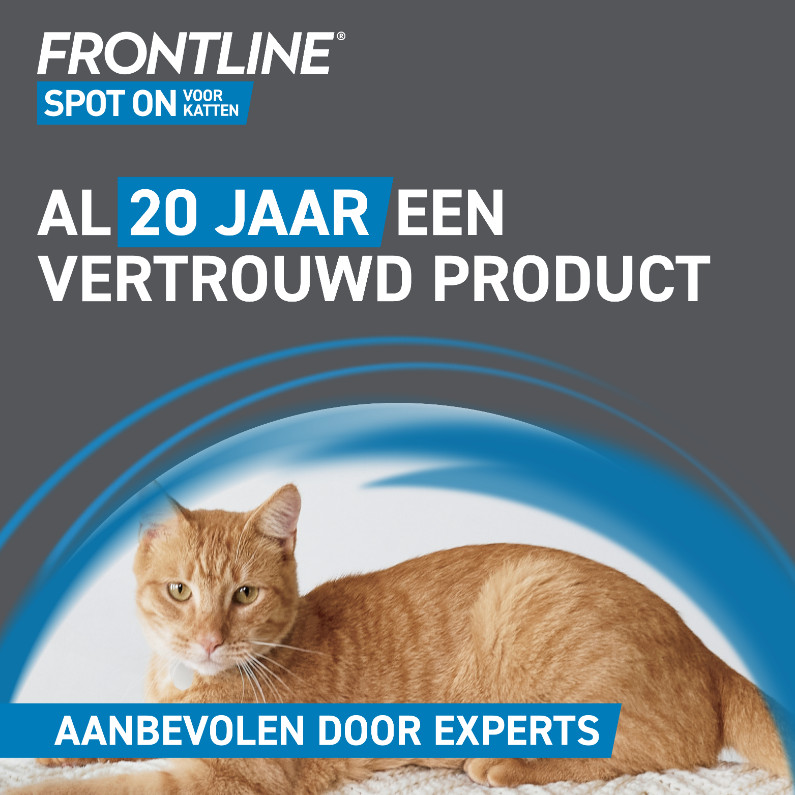 Frontline Spot-on kat