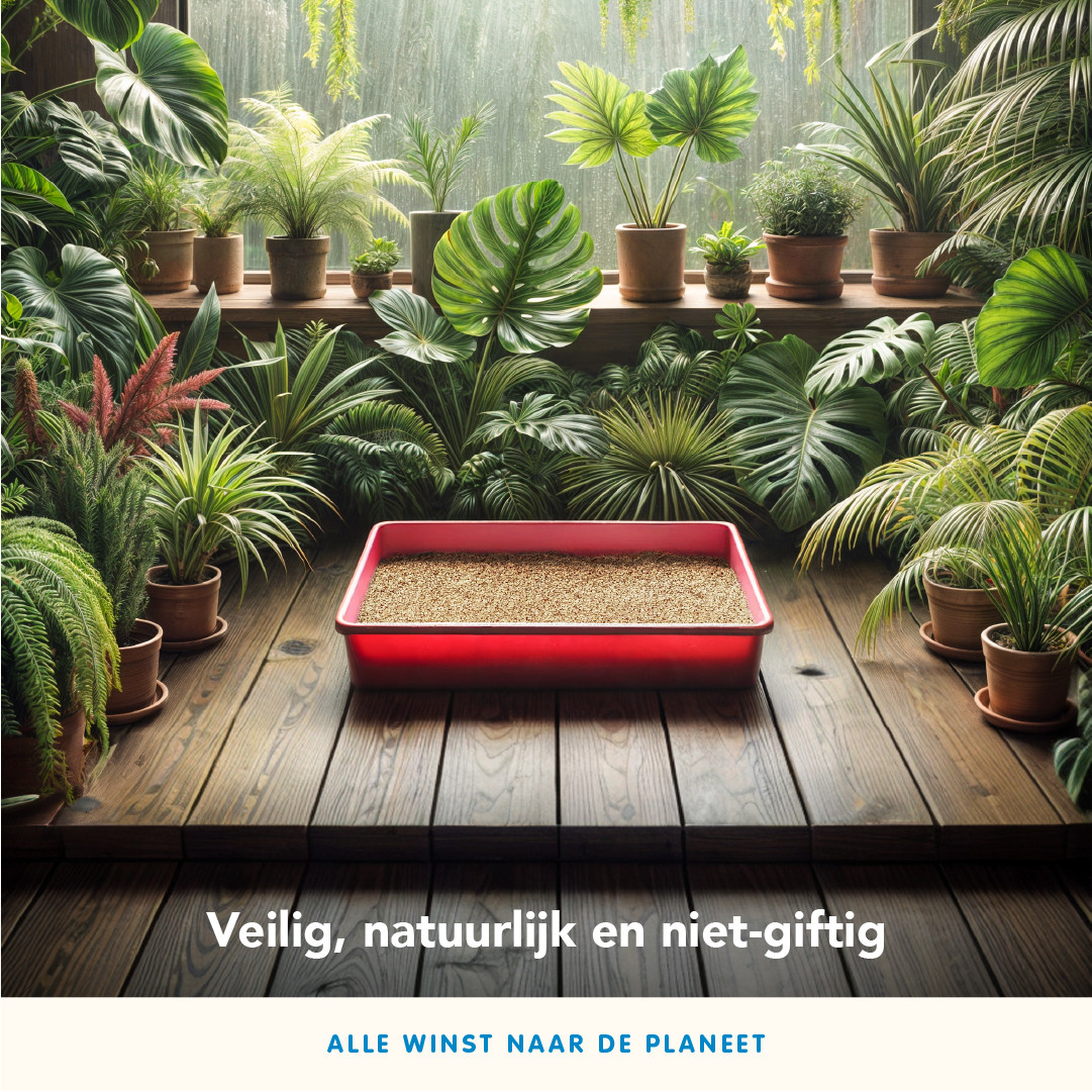 Almo Nature Grain Texture plantaardige kattenbakvulling