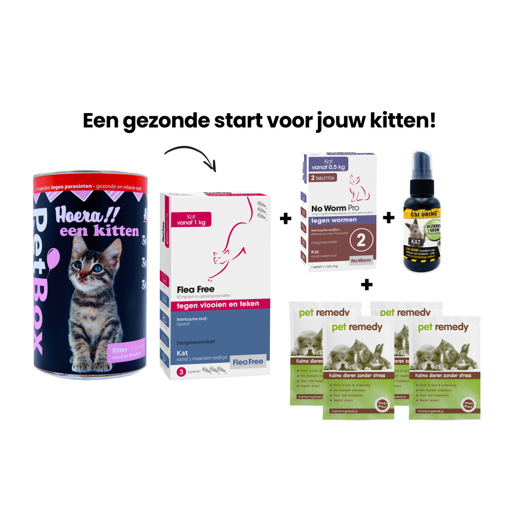PetBox Kitten