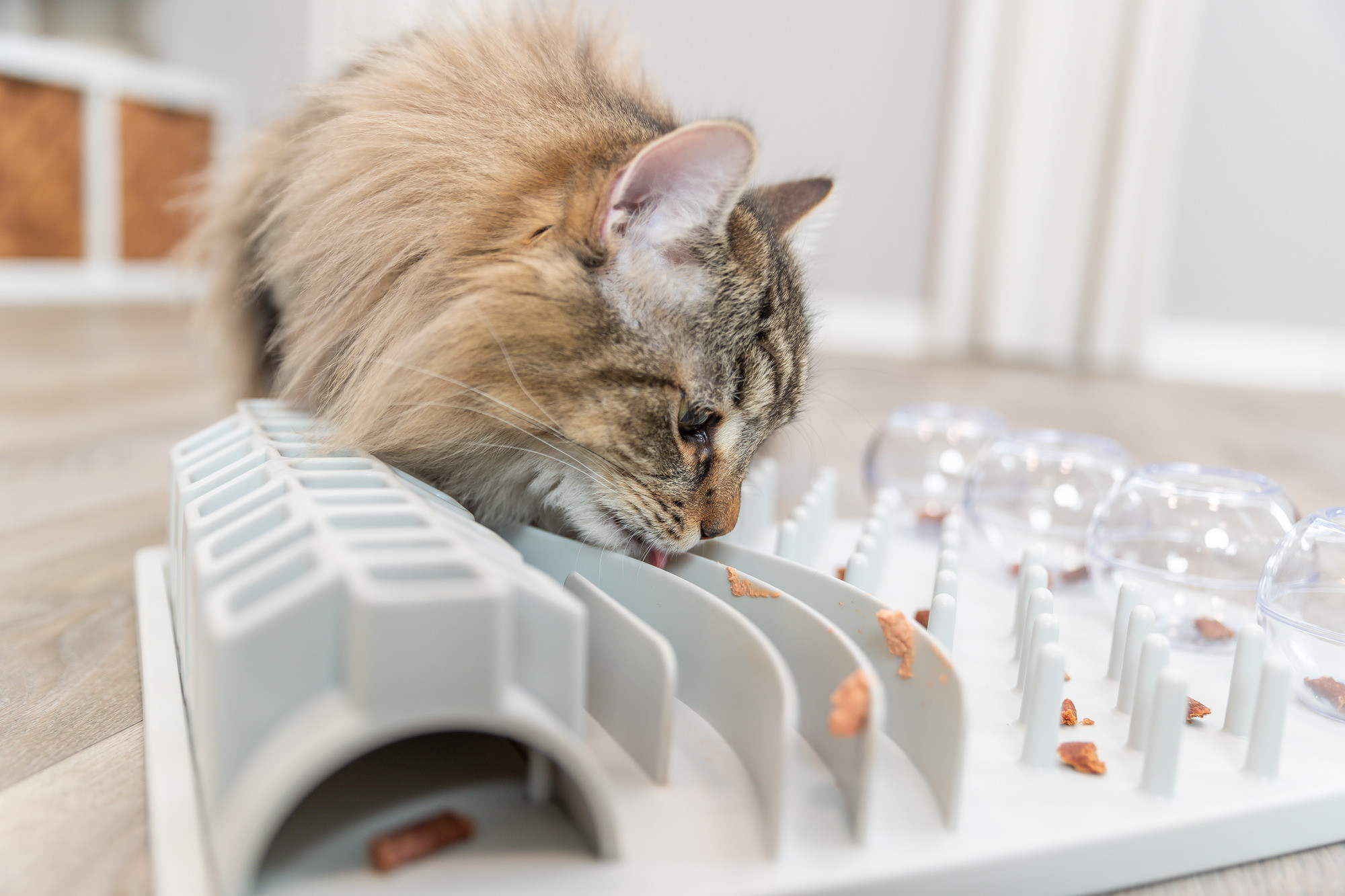 Trixie Cat Activity Fun Board strategiespel kat