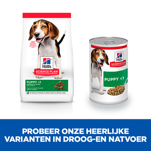 Hill's Puppy nat hondenvoer met rund blik