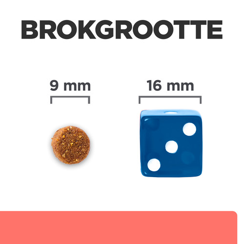 Hill's Prescription Diet On-Care kattenvoer met kip