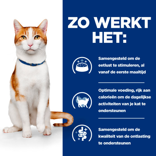 Hill's Prescription Diet On-Care kattenvoer met kip