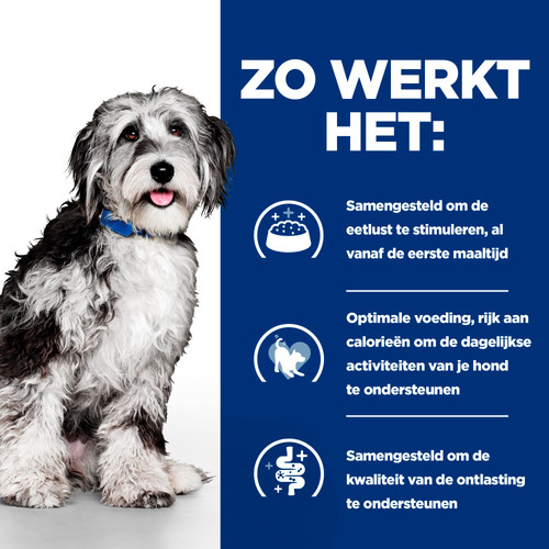 Hill's Prescription Diet On-Care hondenvoer met kip