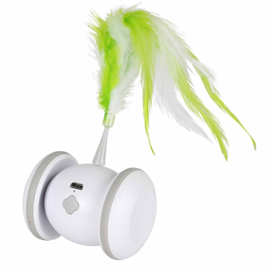 Racing roller kattenspeelgoed