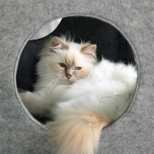 Nala vilten speelkubus voor de kat