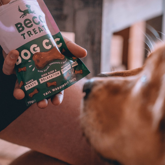 Beco Treats Dog Choc hondensnacks