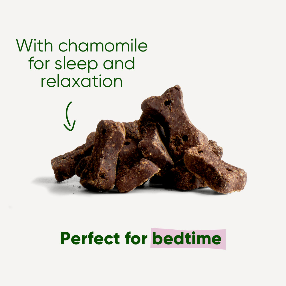 Beco Treats Dog Choc hondensnacks