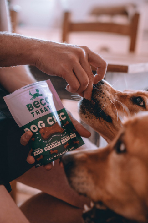 Beco Treats Dog Choc hondensnacks