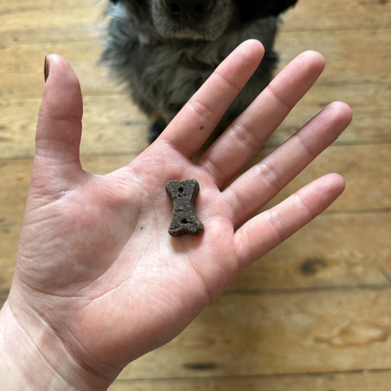 Beco Treats Dog Choc hondensnacks