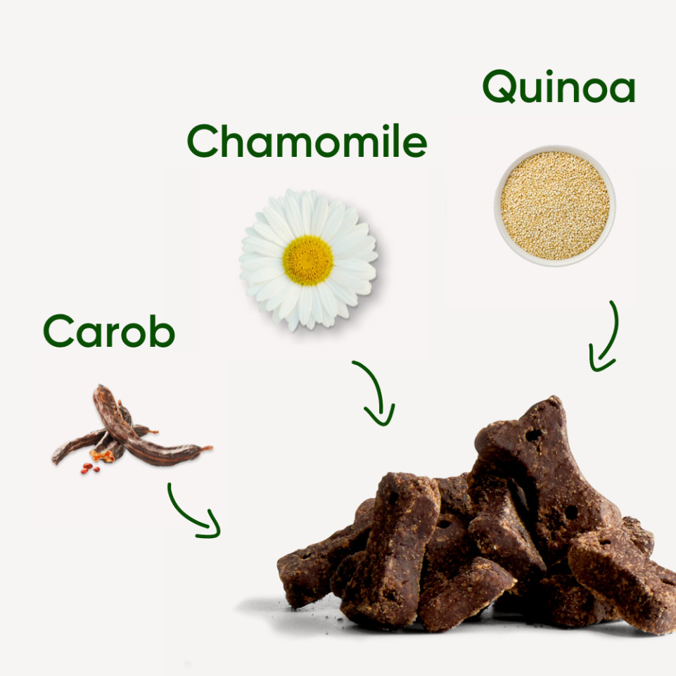 Beco Treats Dog Choc hondensnacks