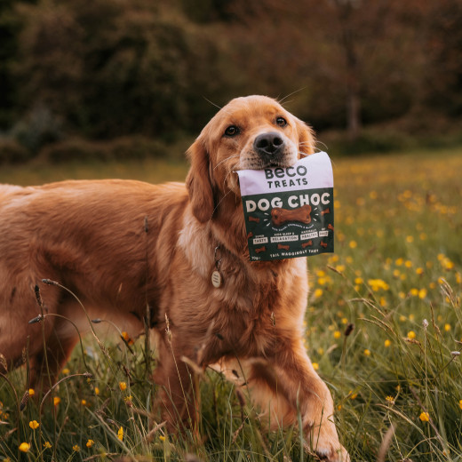 Beco Treats Dog Choc hondensnacks