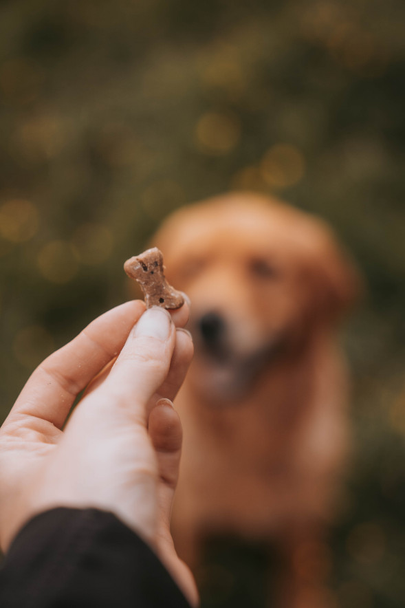 Beco Treats Dog Choc hondensnacks