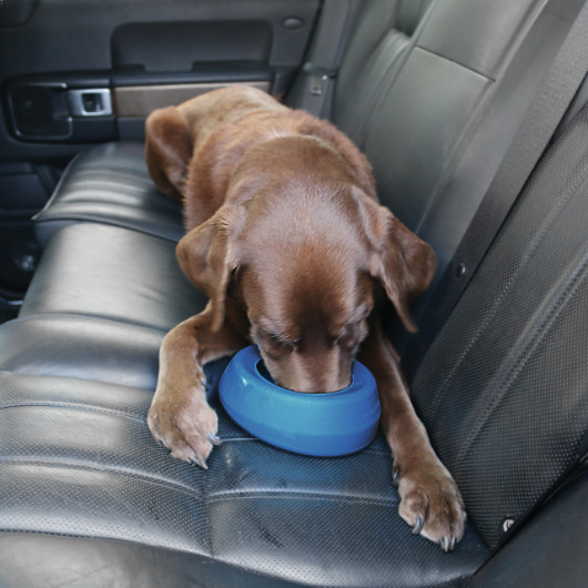 Kurgo Splash Free Wander Bowl voer- en waterbak hond (blauw)