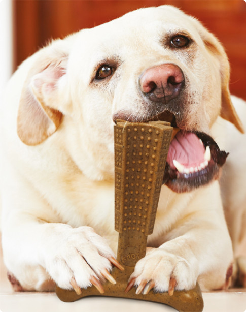 Spot Bam-Bones Easy Grip veilig kauwbot hond (rundsmaak)