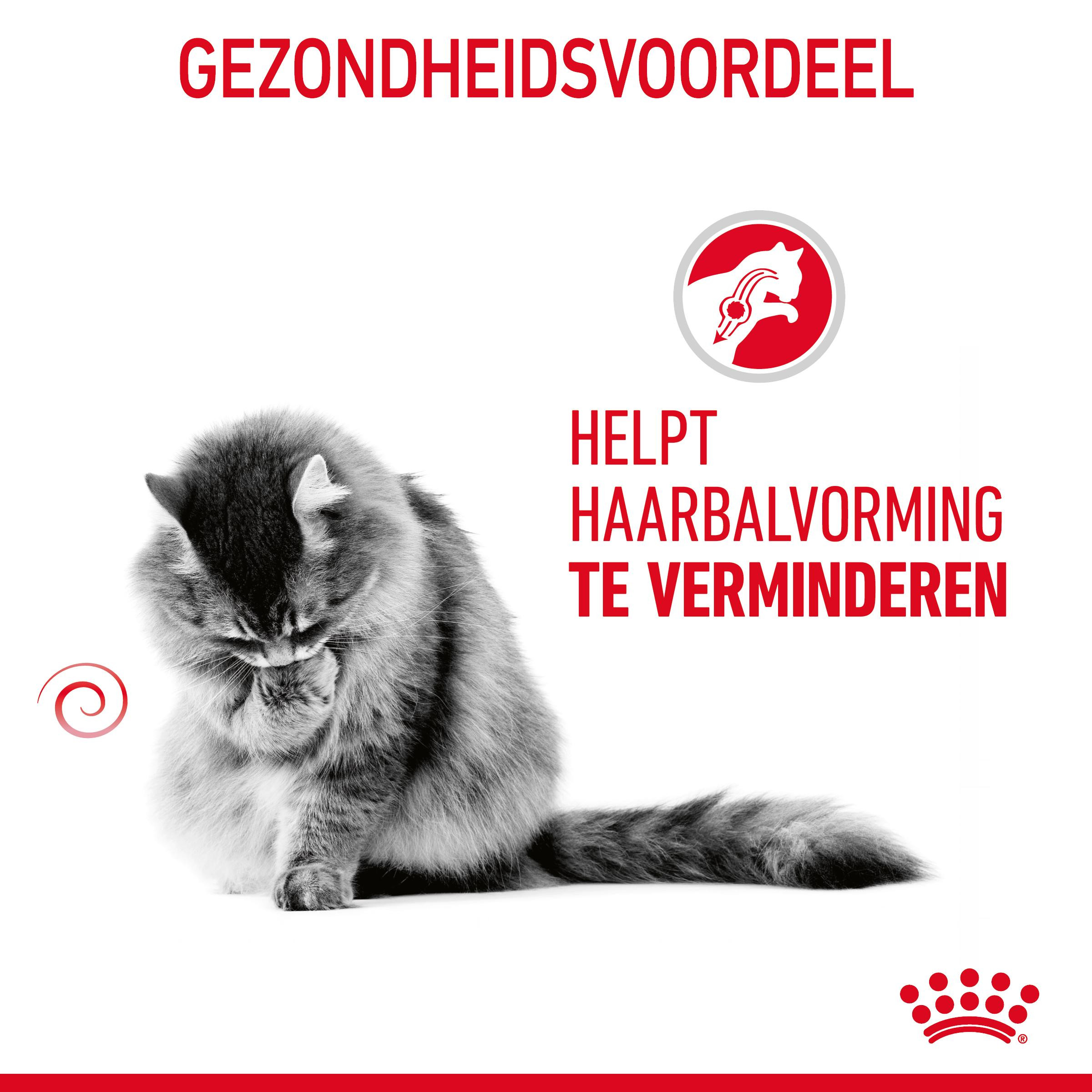 Royal Canin Hairball Care kattenvoer