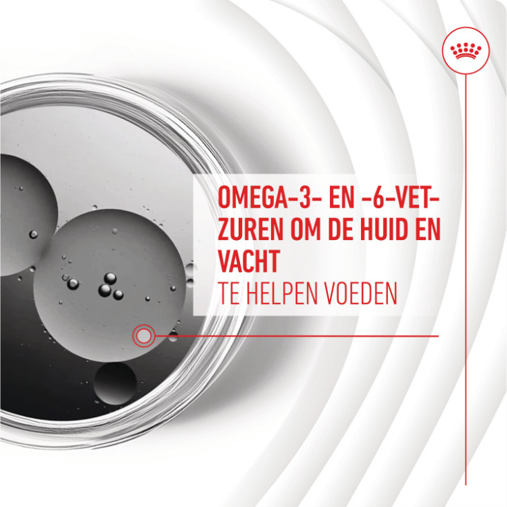 Royal Canin Skin & Coat Chews voedingssupplement hond