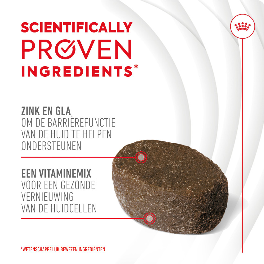 Royal Canin Skin & Coat Chews voedingssupplement hond