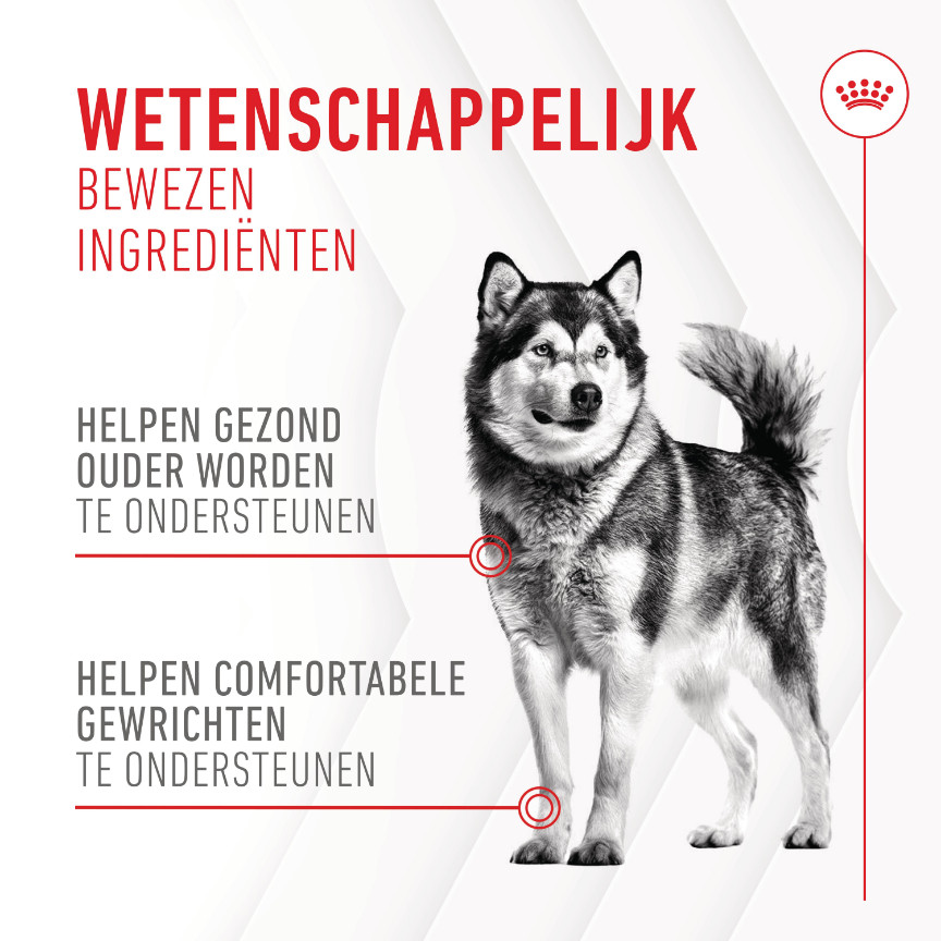 Royal Canin Joint & Ageing Chews voedingssupplement hond