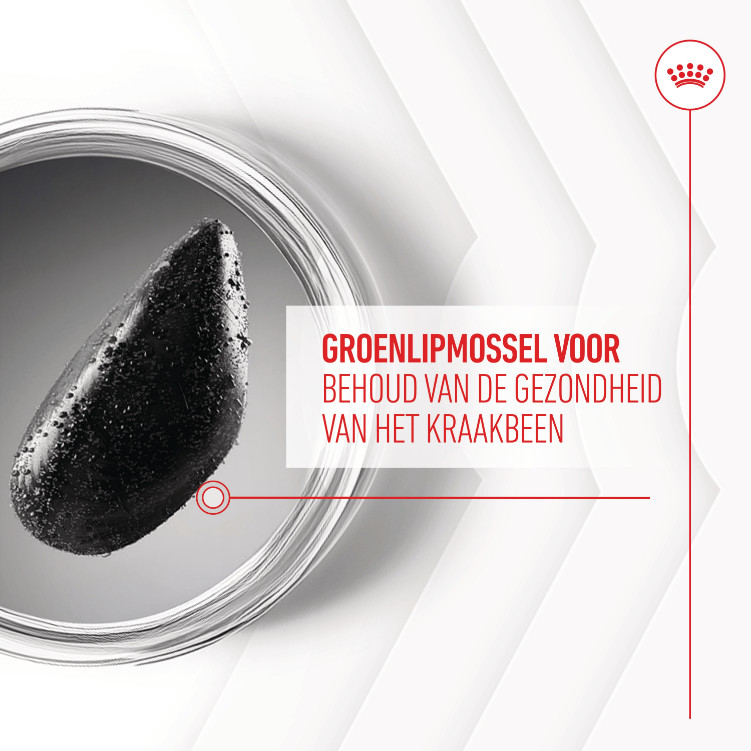 Royal Canin Joint & Ageing Chews voedingssupplement hond