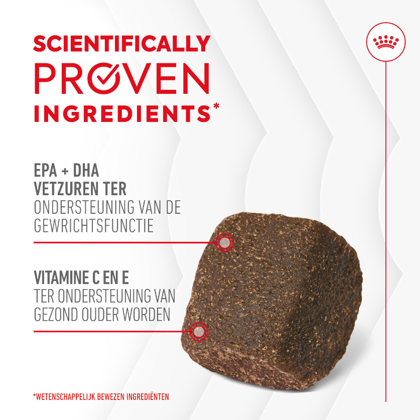 Royal Canin Joint & Ageing Chews voedingssupplement hond
